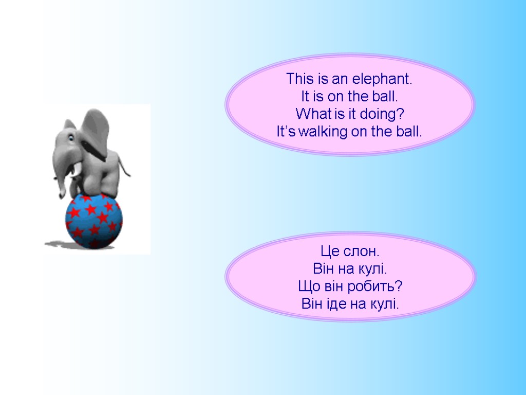 This is an elephant. It is on the ball. What is it doing? It’s